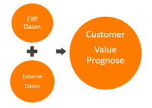 Customer Value Prediction Elements